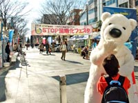 STOPgtFX^2010~(12/18,És,tV{[h)