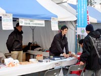 STOPgtFX^2010~(12/18,És,tV{[h)