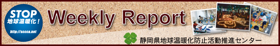 Weekly Report