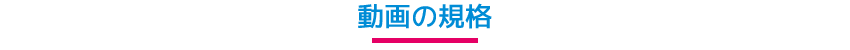 動画の規格