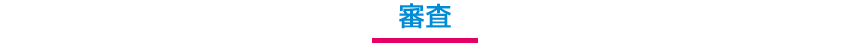 審査