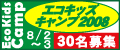 GRLbYLv2008