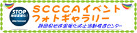 Cxg tHgM[