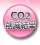 CO2팸