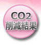 CO2팸