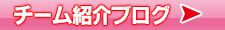 2013チーム紹介ブログ
