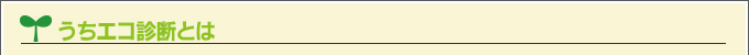 うちエコ診断とは
