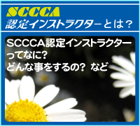 SCCCAFCXgN^[Ƃ́H