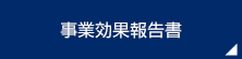 事業効果報告書